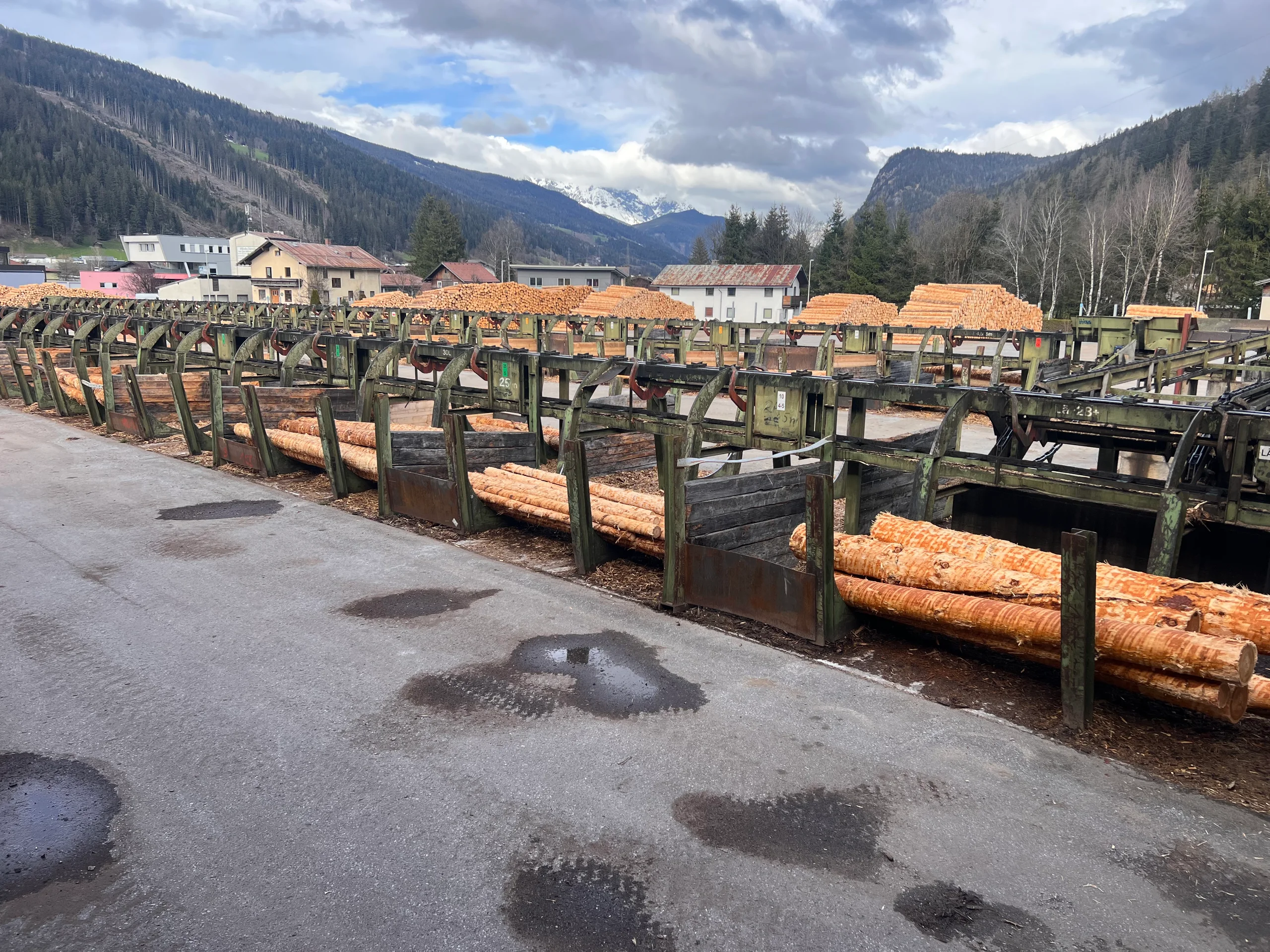 Impianto di selezione dei tronchi con scortecciatore - Immagine 4