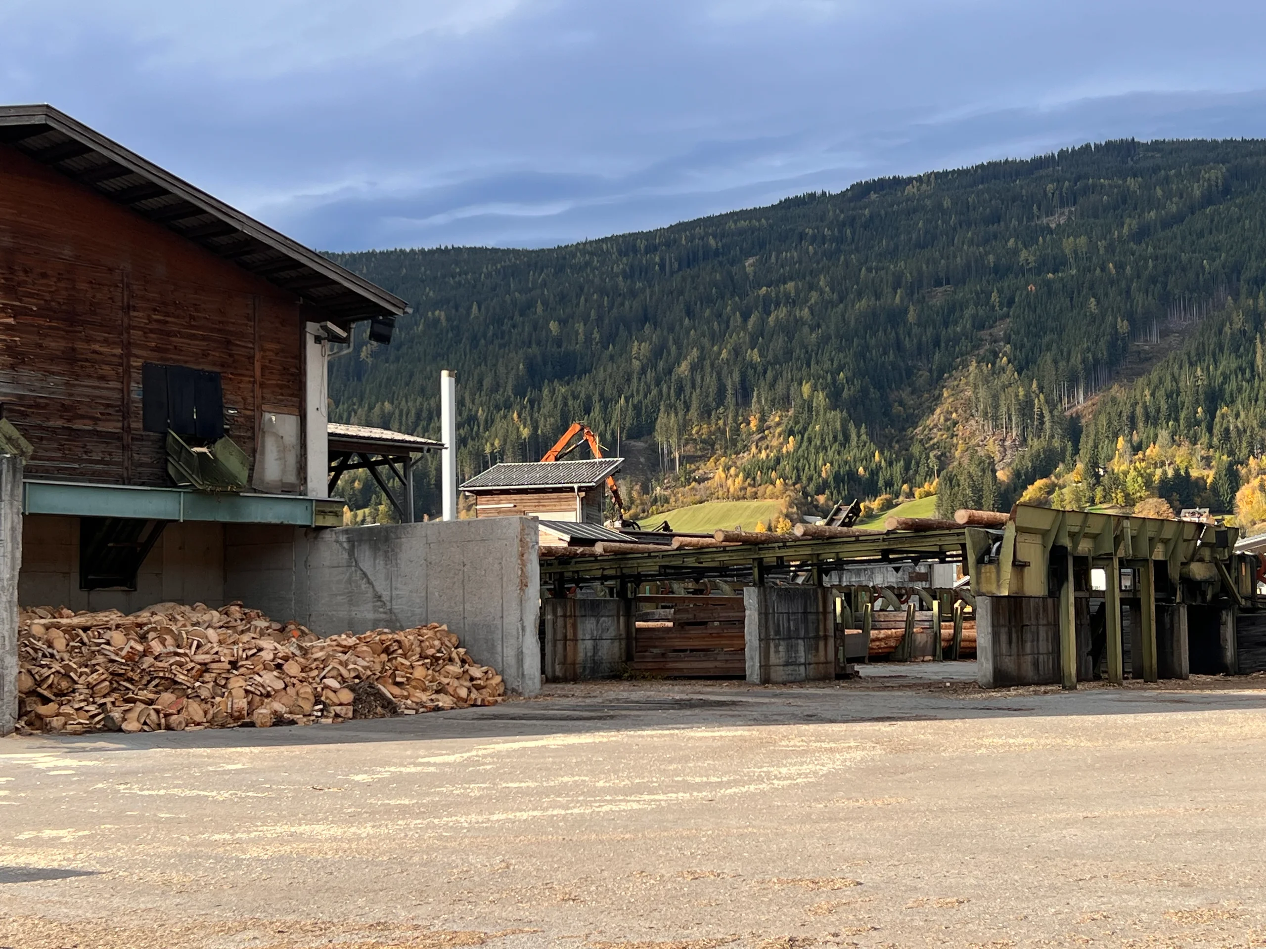 Impianto di selezione dei tronchi con scortecciatore - Immagine 6