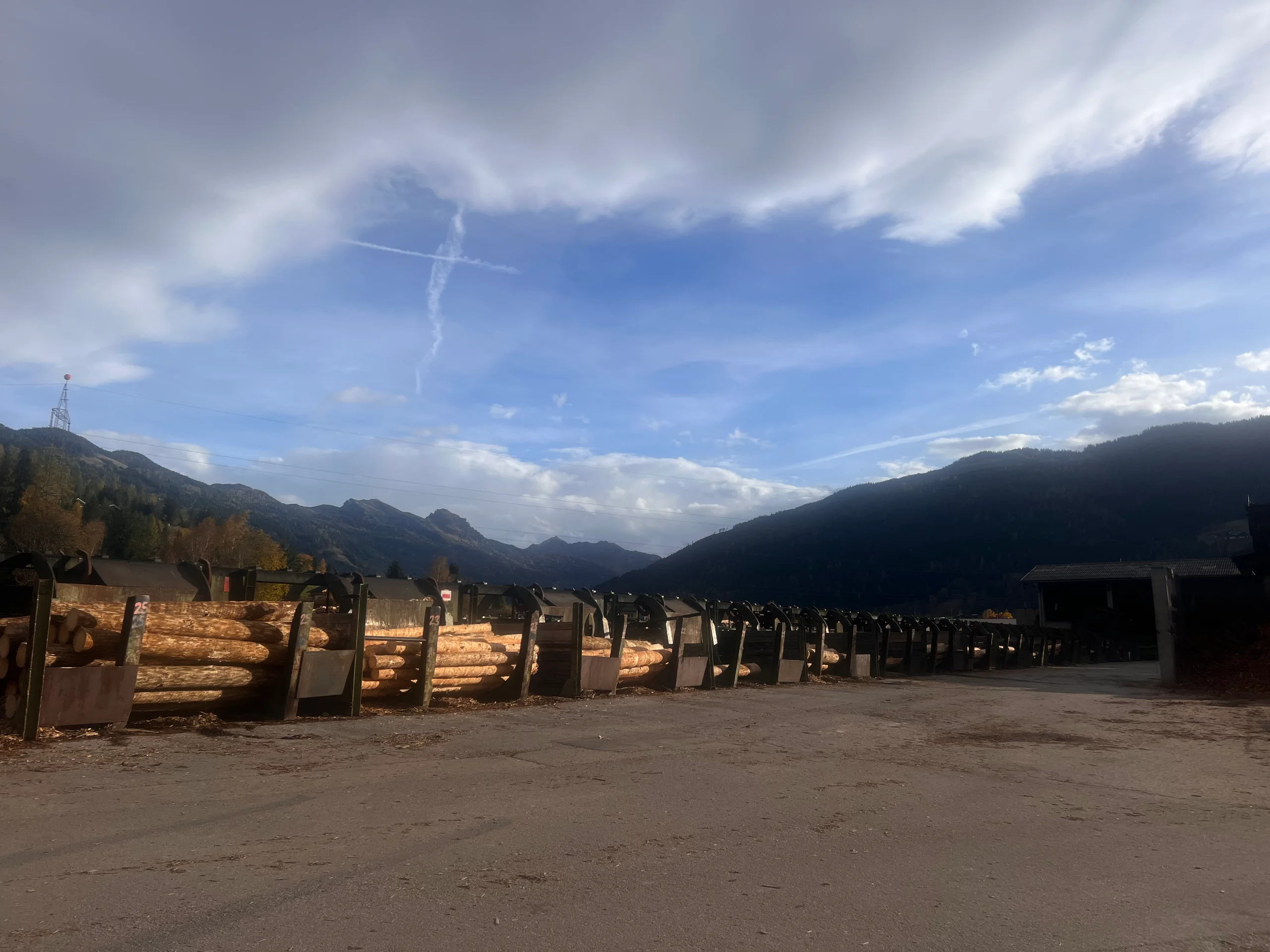 Impianto di selezione dei tronchi con scortecciatore - Immagine 7