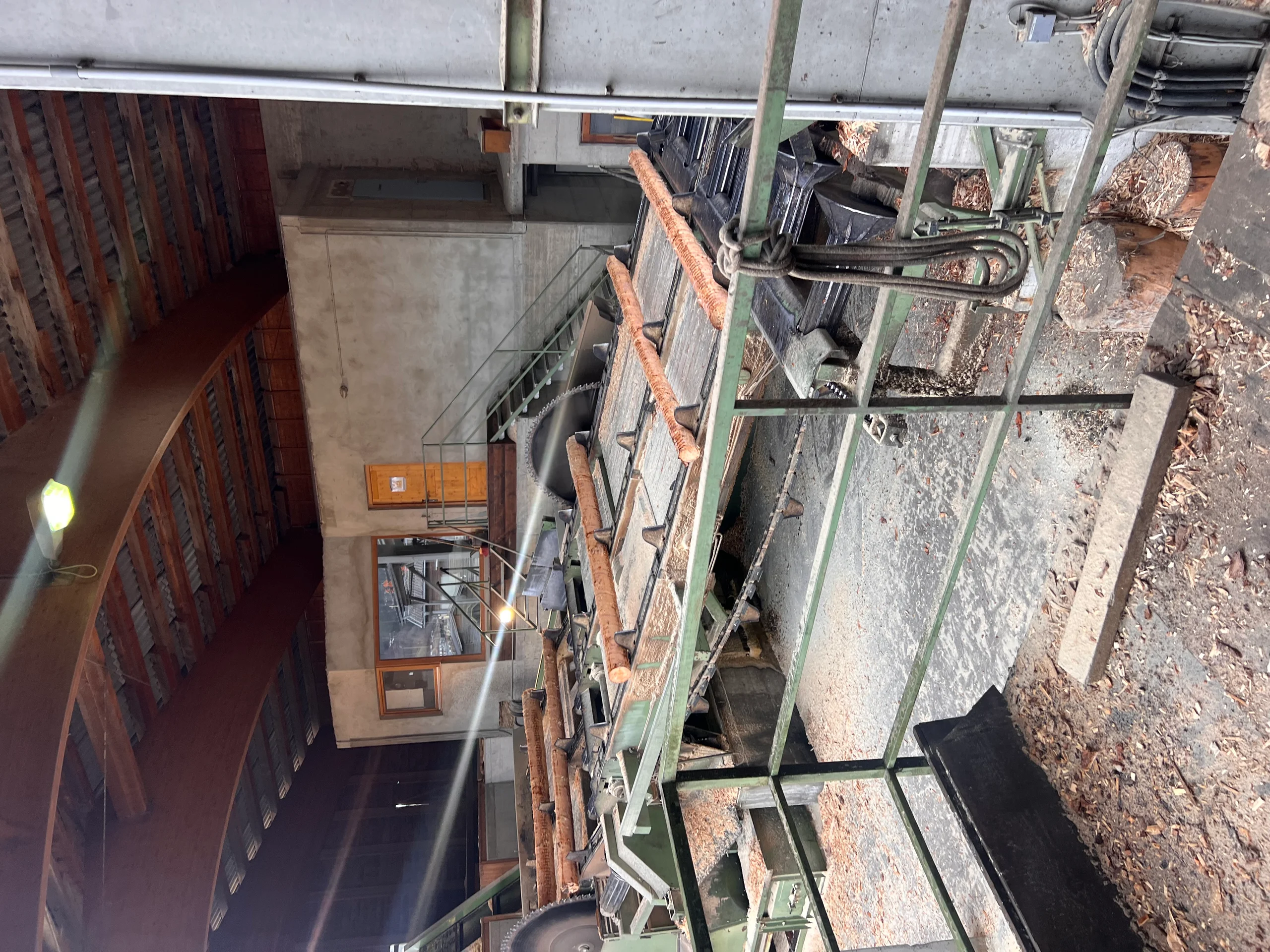 Impianto di selezione dei tronchi con scortecciatore - Immagine 9