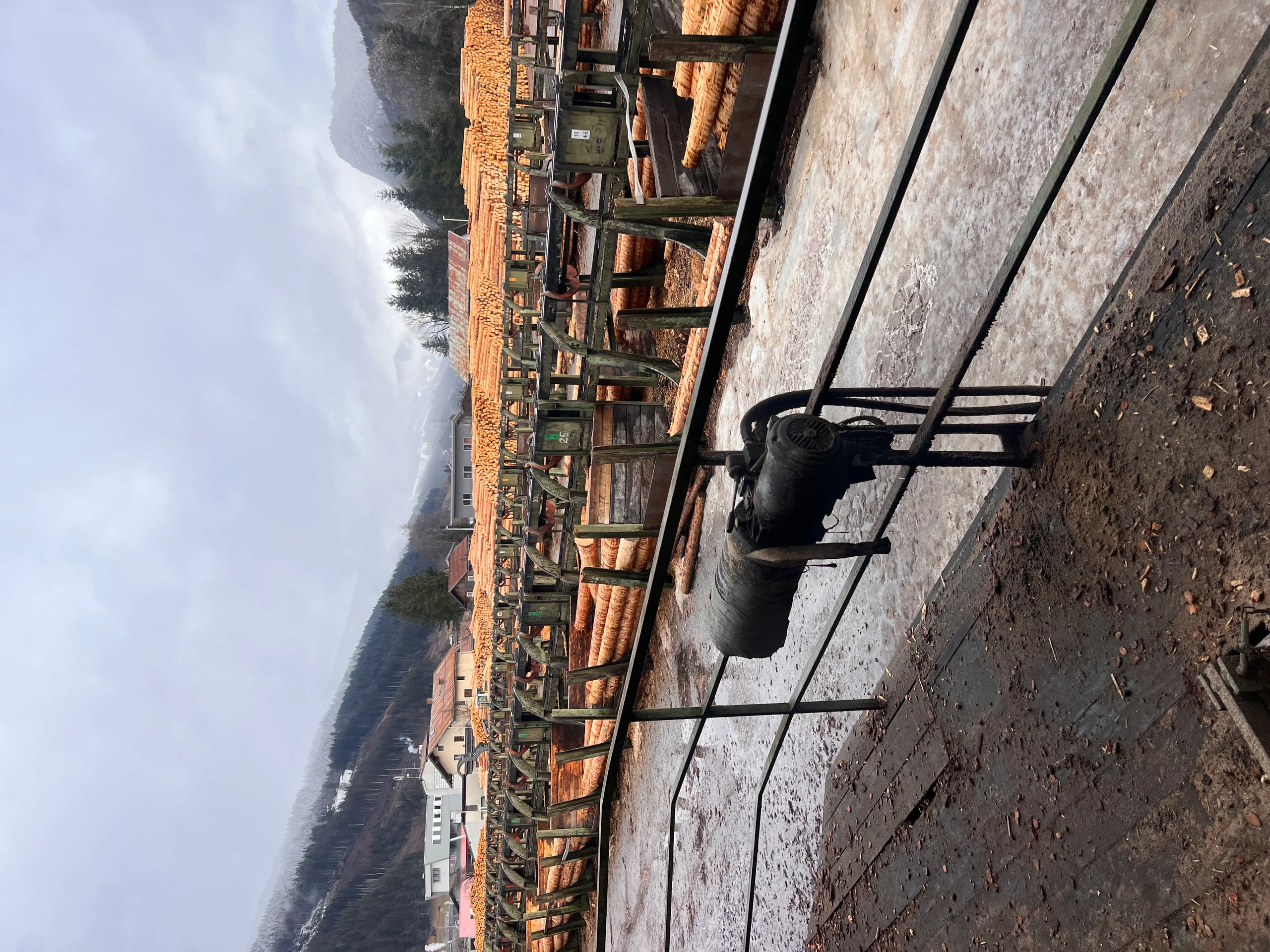 Impianto di selezione dei tronchi con scortecciatore - Immagine 11