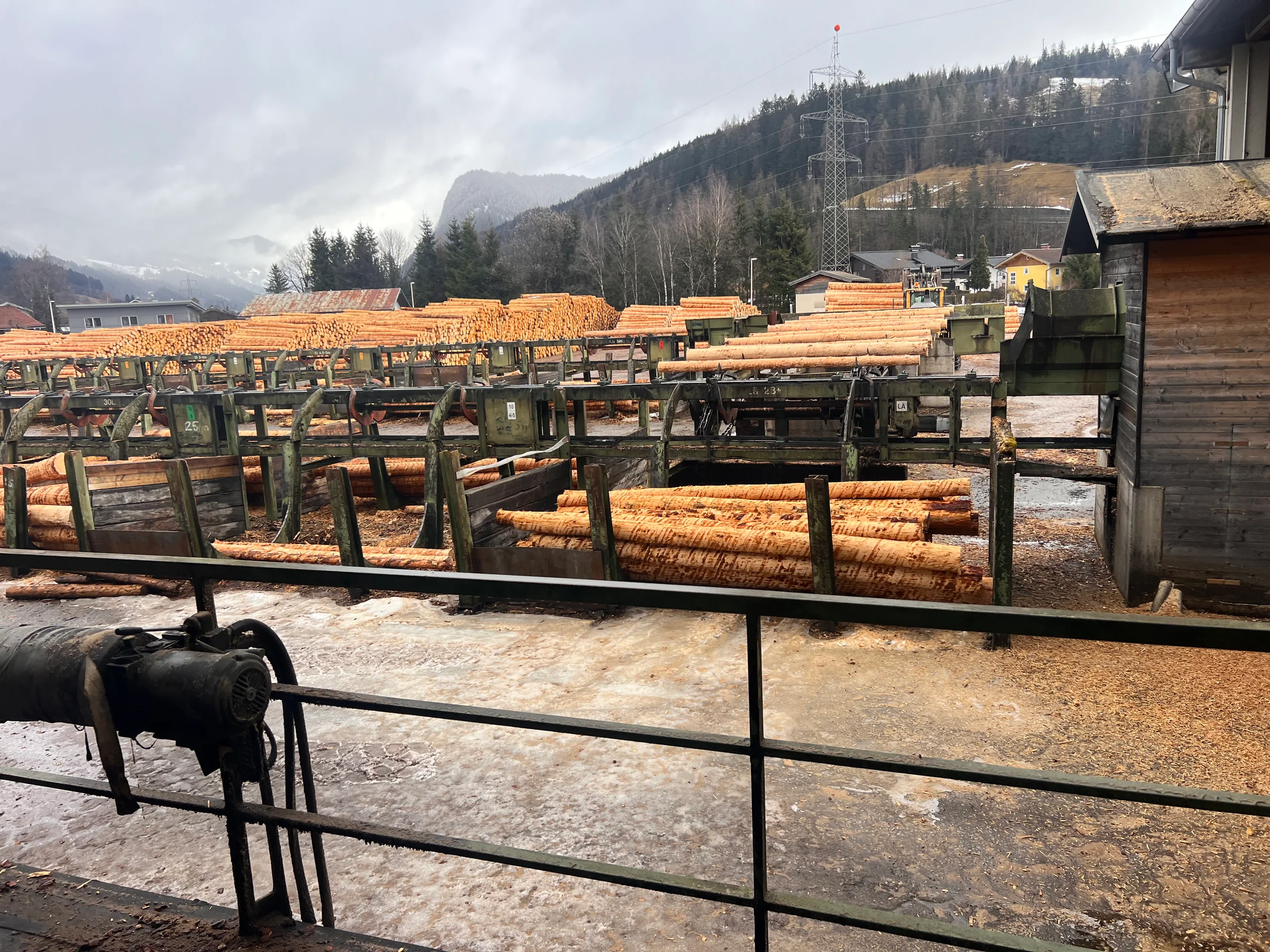 Impianto di selezione dei tronchi con scortecciatore - Immagine 12