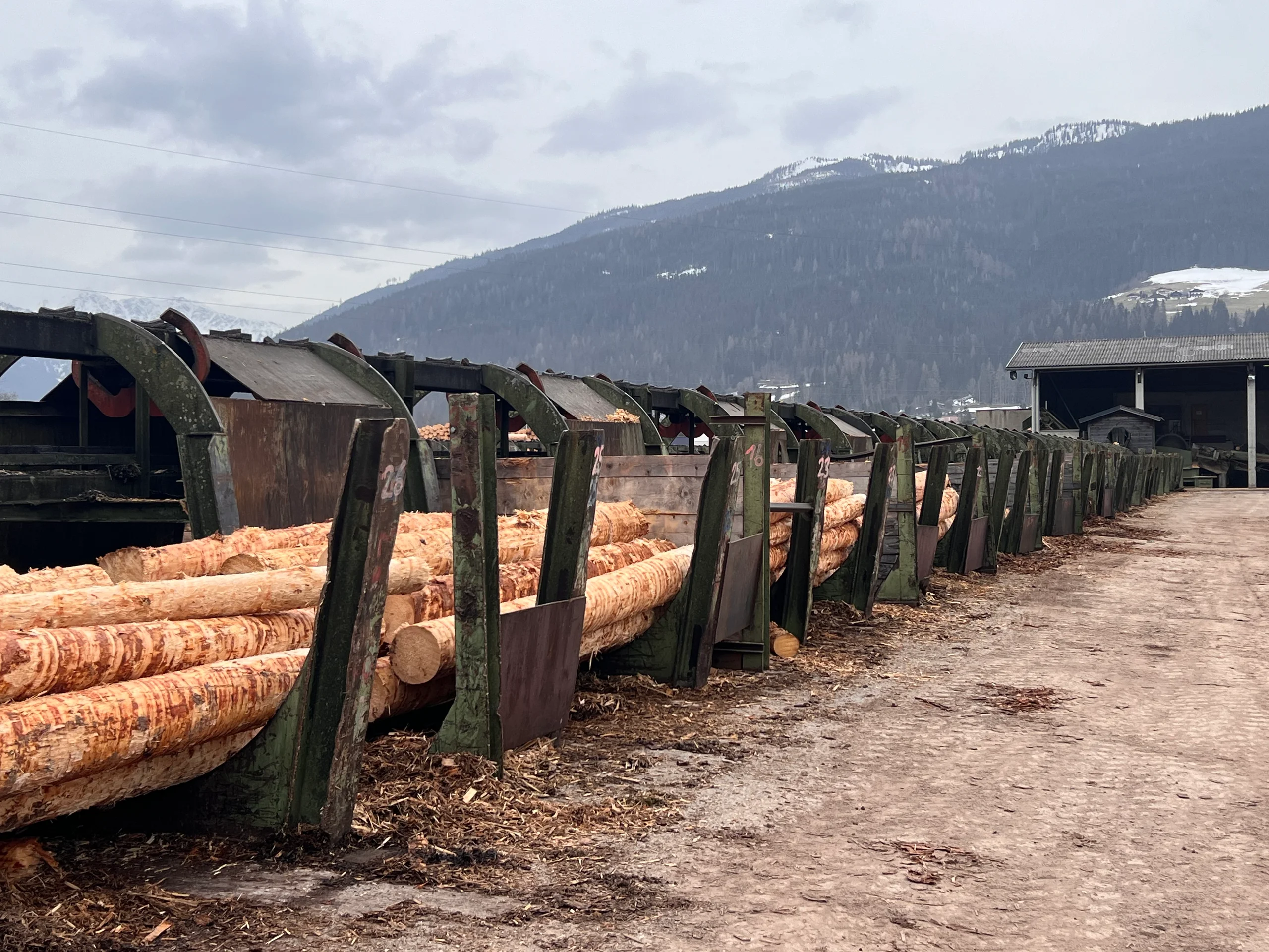 Impianto di selezione dei tronchi con scortecciatore - Immagine 13