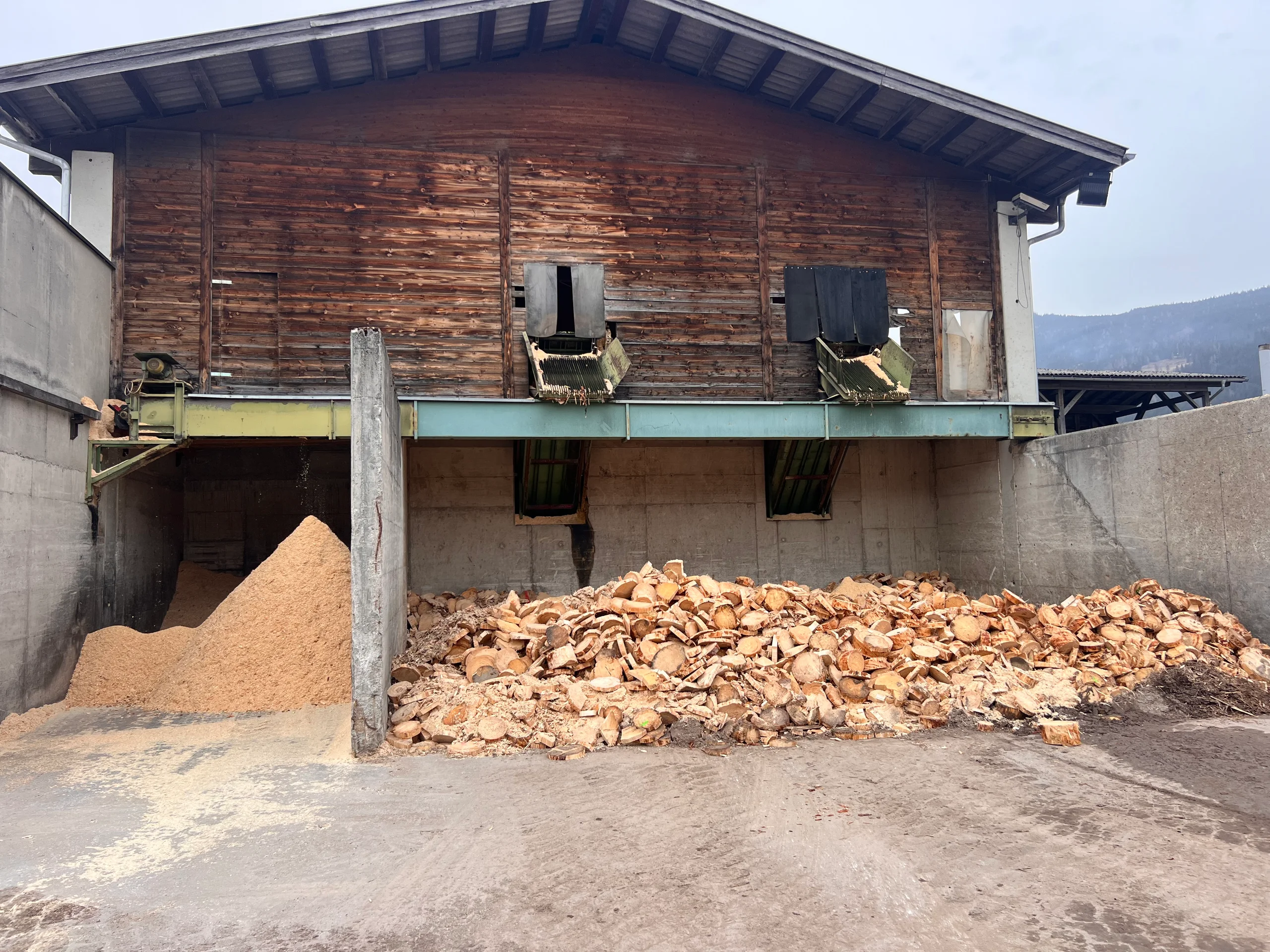 Impianto di selezione dei tronchi con scortecciatore - Immagine 17