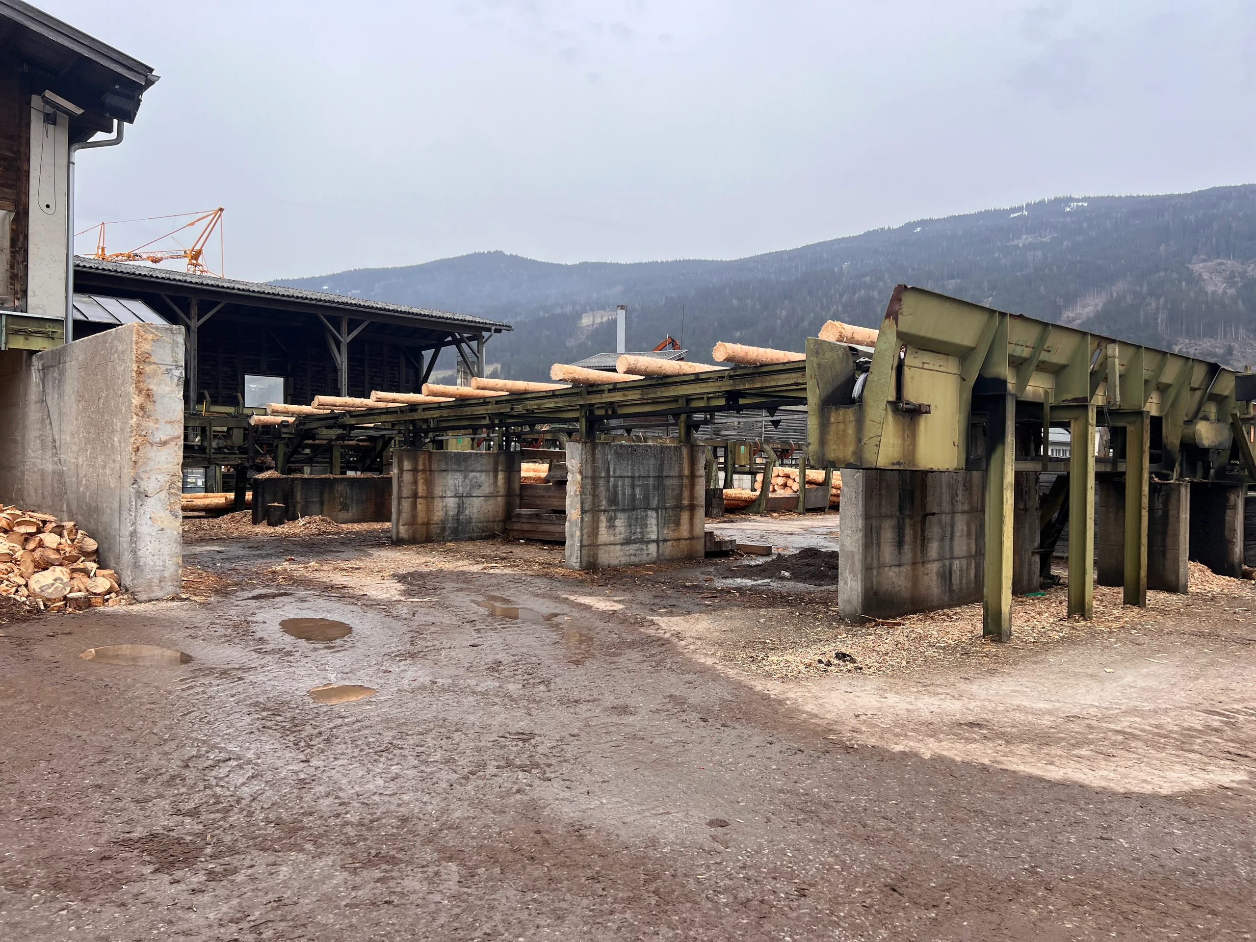 Impianto di selezione dei tronchi con scortecciatore - Immagine 18