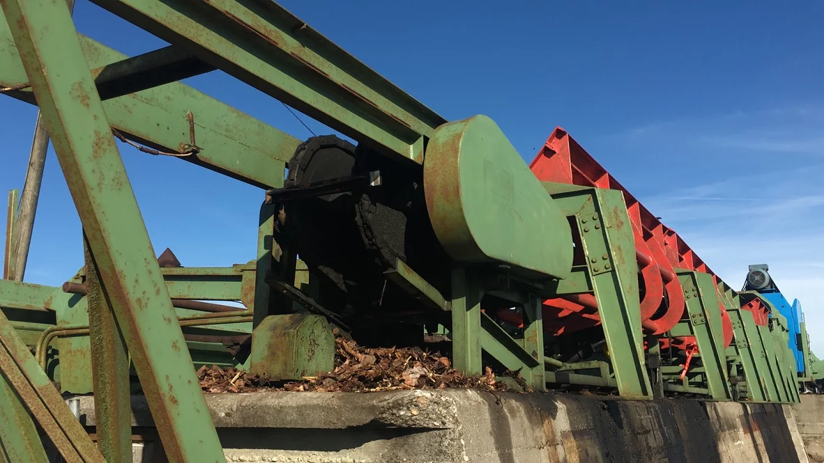 Cortile di tronchi - Immagine 6