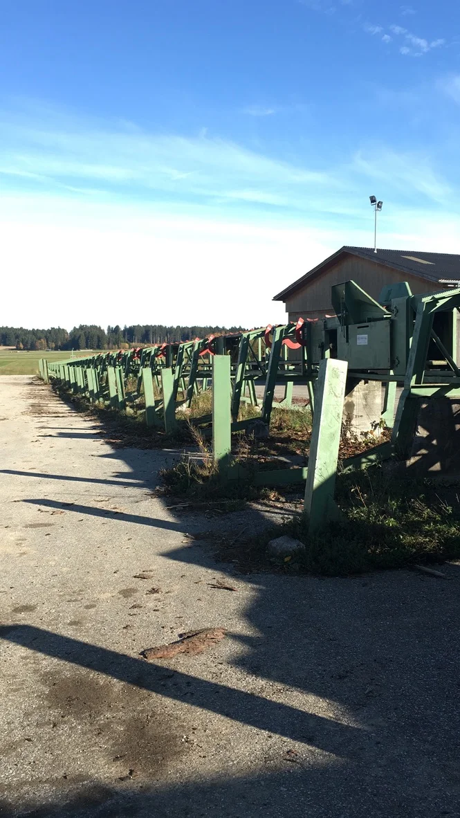 Cortile di tronchi - Immagine 8