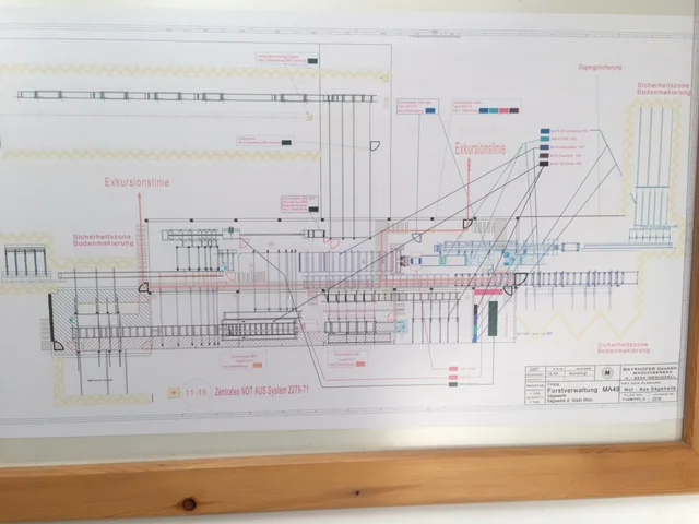 Cortile di tronchi - Immagine 4