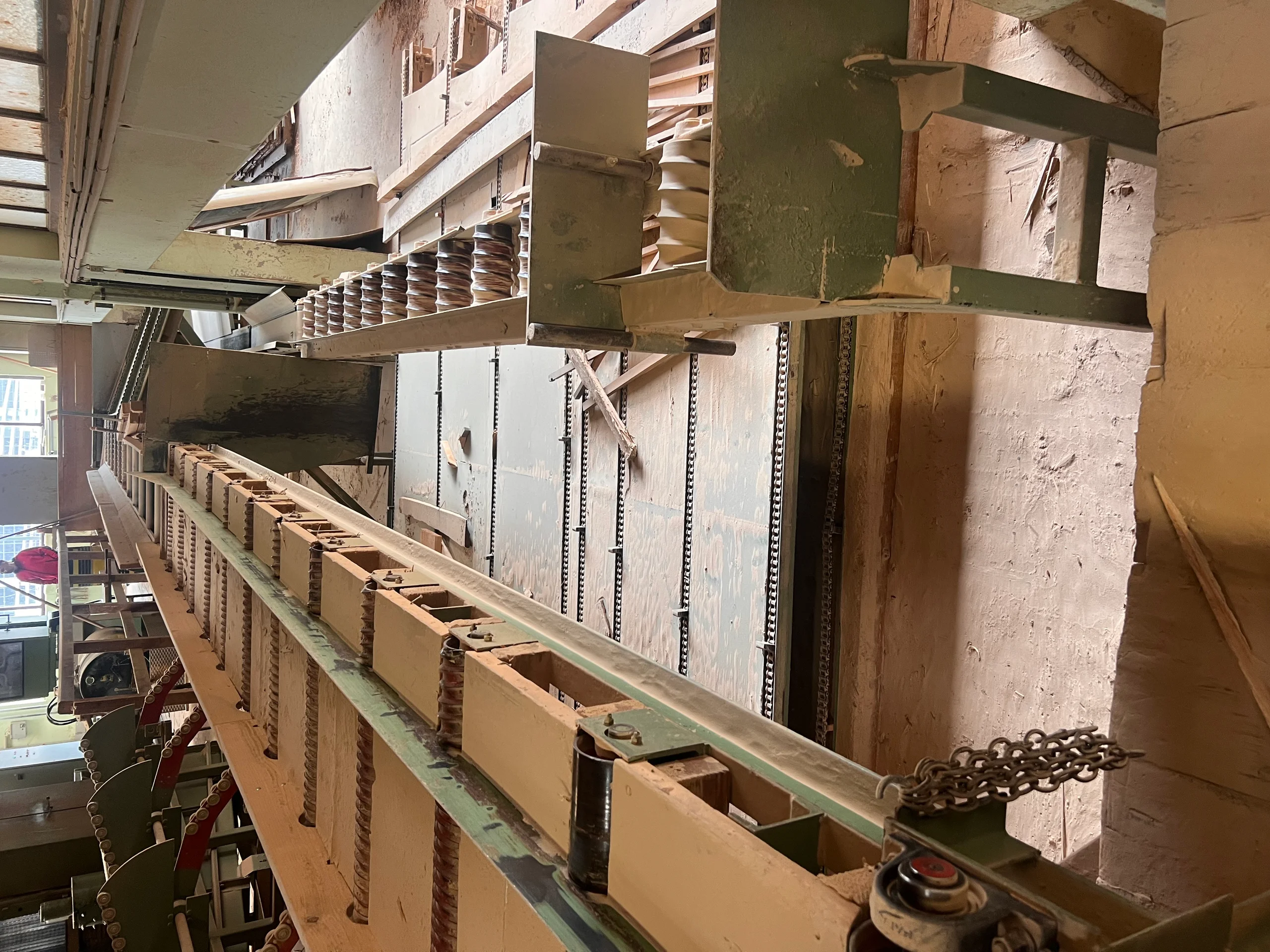 Spigolatore - Immagine 3