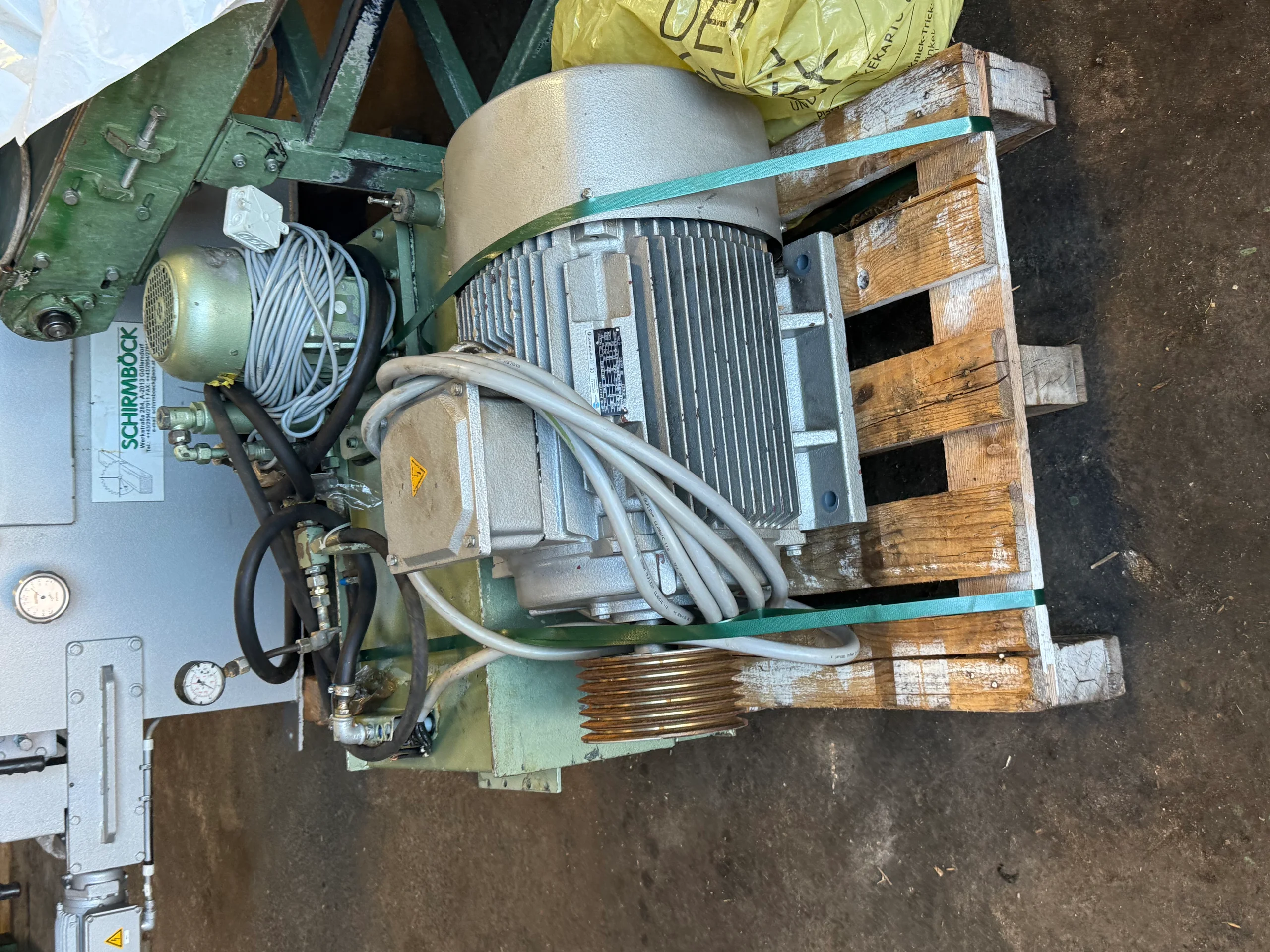 Spigolatore - Immagine 7