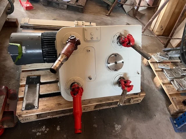 Pialla - Immagine 11