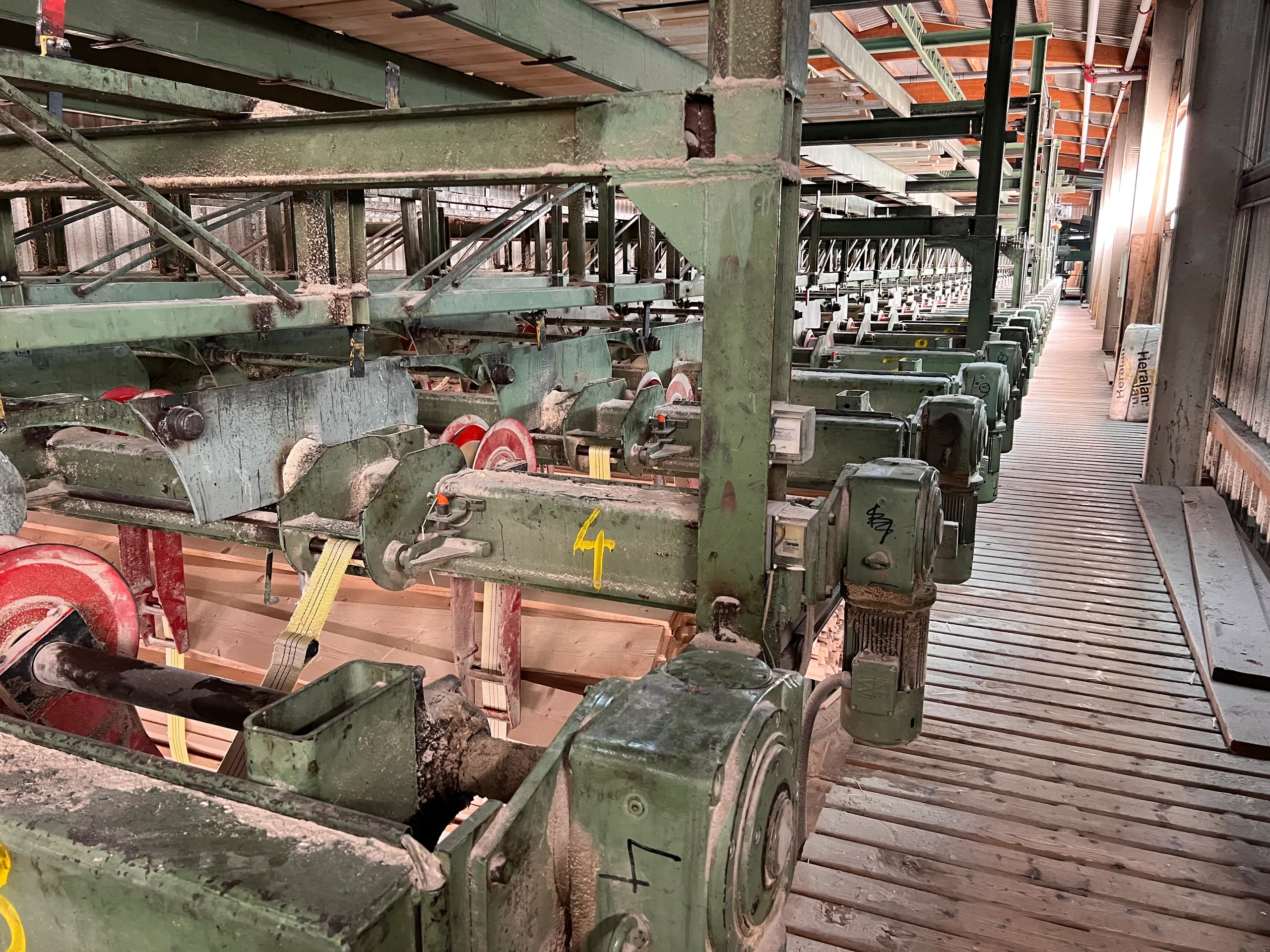 Linea di selezione del legname - Immagine 3