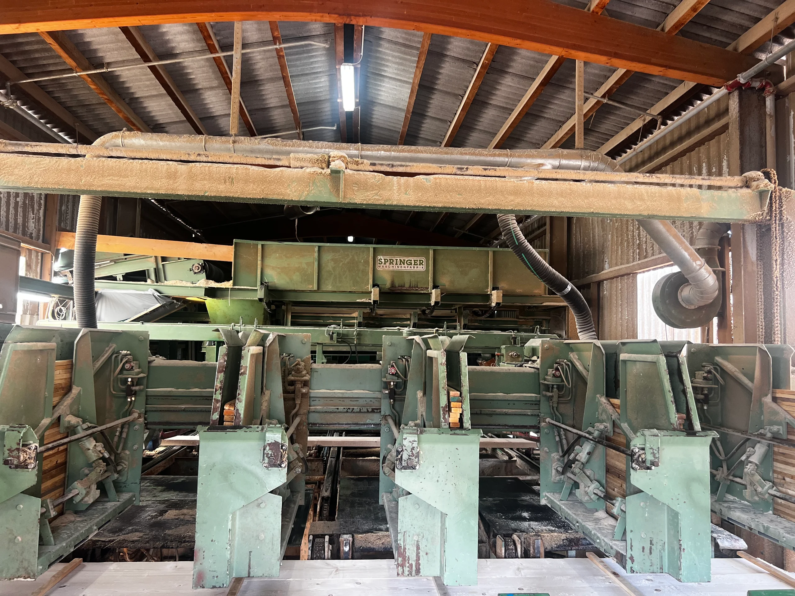 Linea di selezione del legname - Immagine 14