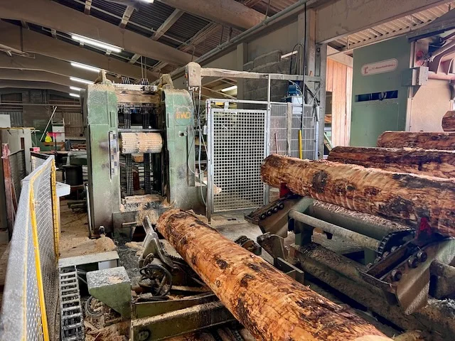 Nassa ad alte prestazioni EWD GDZE - Immagine 4