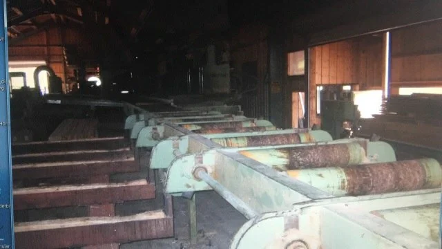 Seghe a nastro per legname pesante - Immagine 13