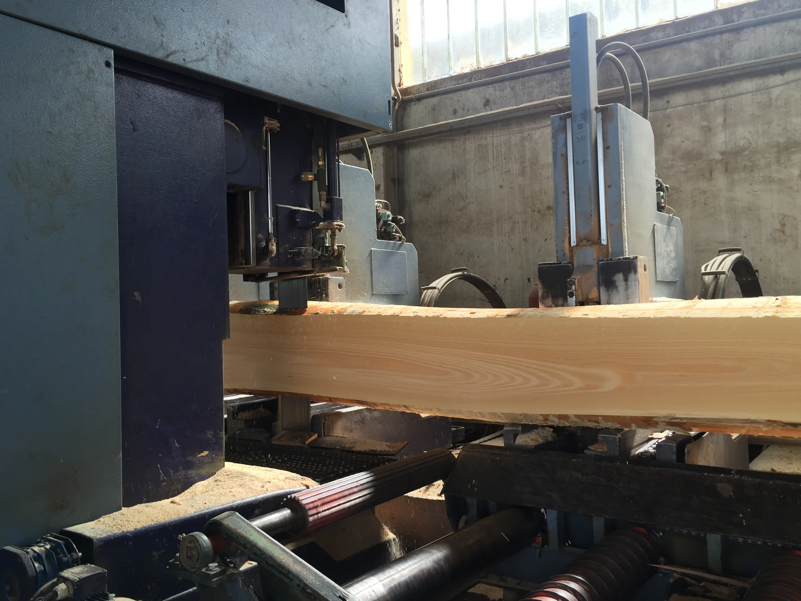 Seghe a nastro PRIMULTINI