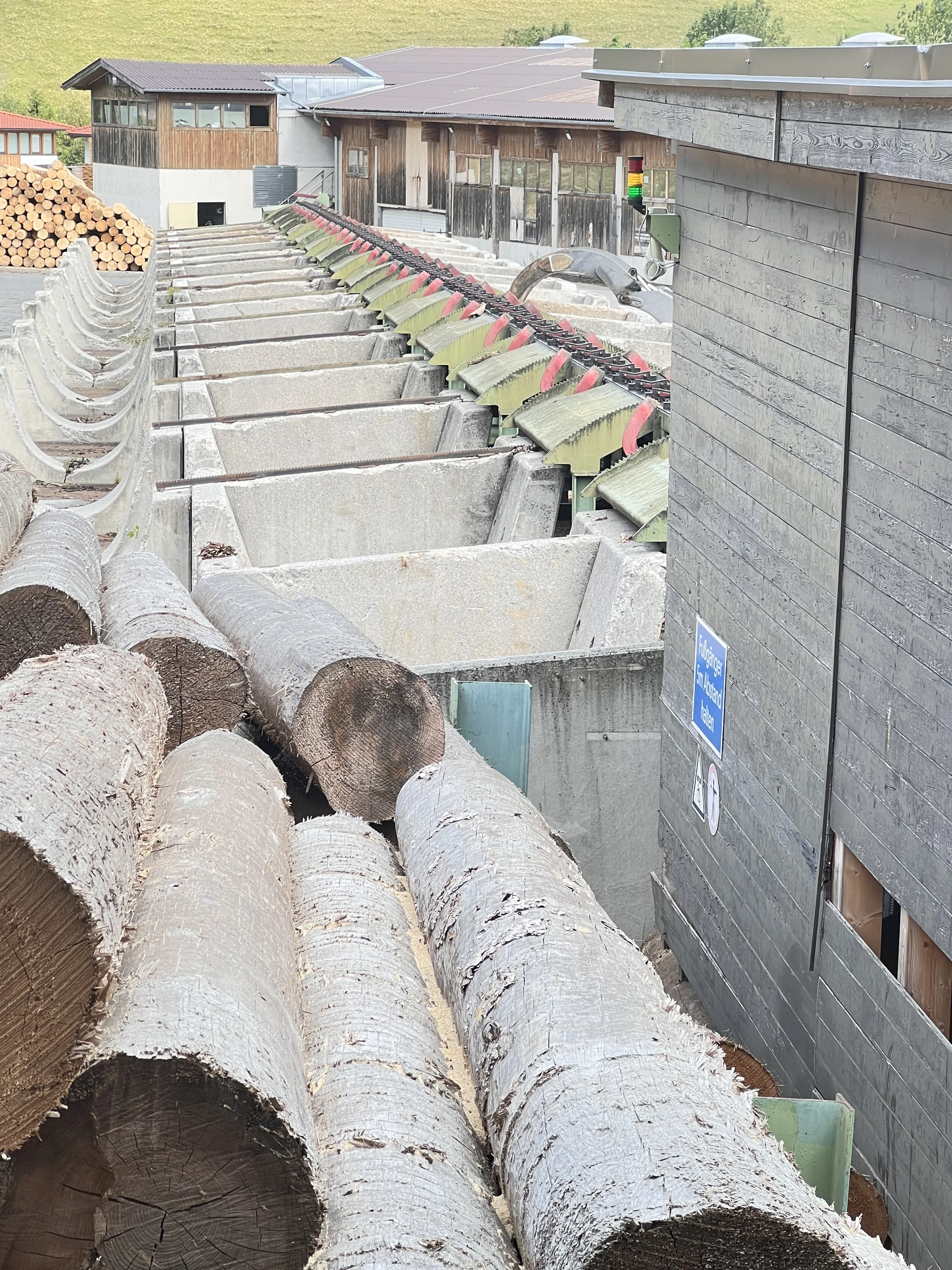 Sistema completo di segheria: EWD - Springer - Nicholson.... - Immagine 3