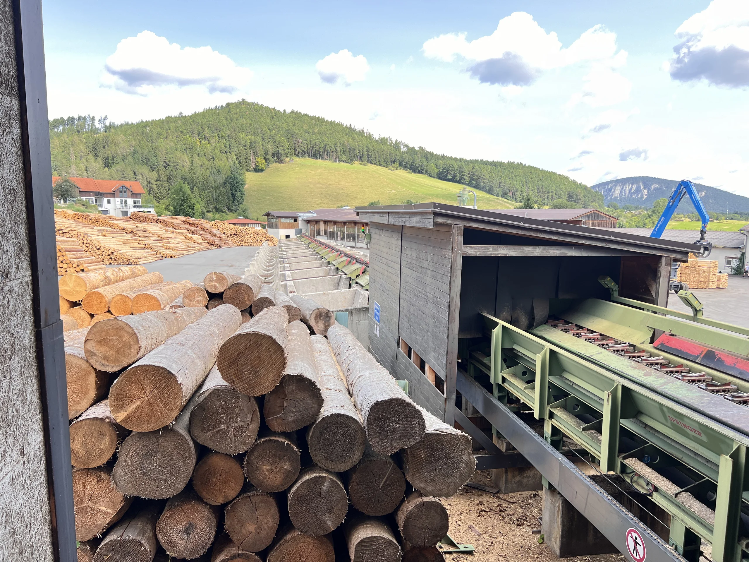 Sistema completo di segheria: EWD - Springer - Nicholson.... - Immagine 4