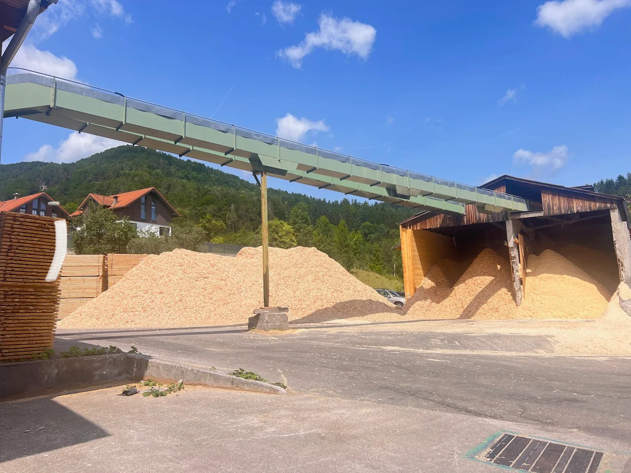 Sistema completo di segheria: EWD - Springer - Nicholson.... - Immagine 8