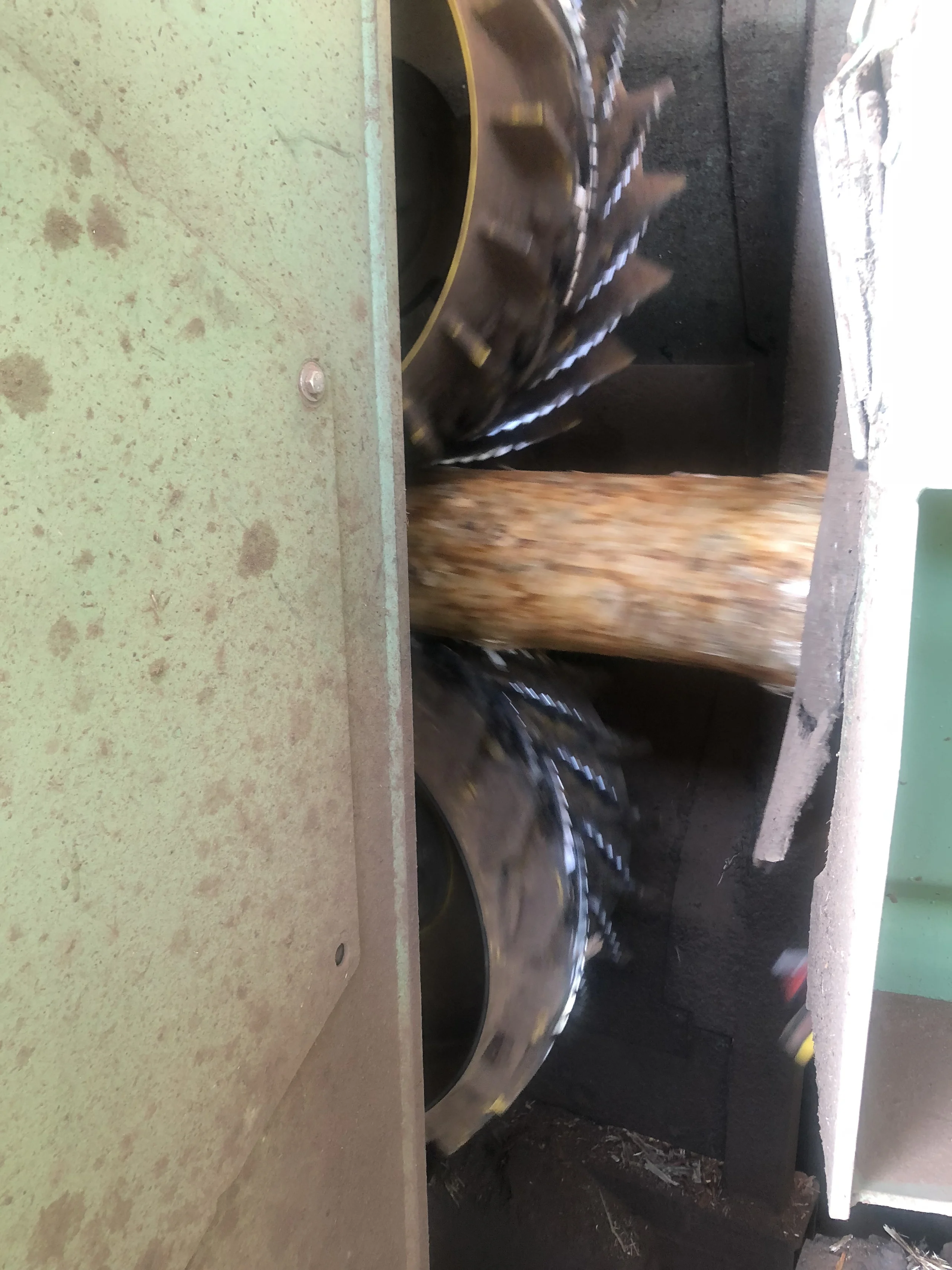 Scortecciatura ad alte prestazioni - Immagine 8