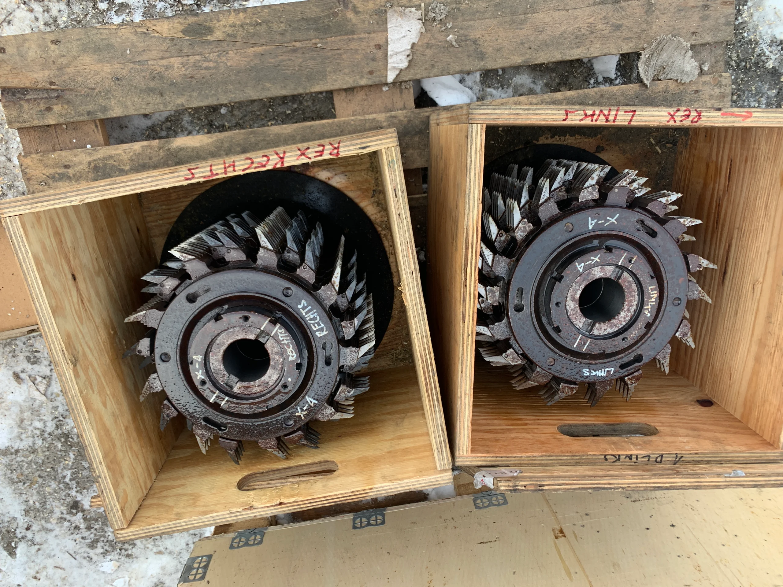 Pialla - Immagine 15